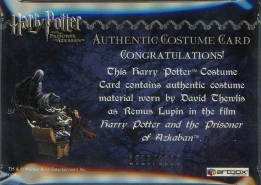 Remus Lupin's Jacket - Back