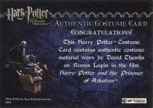 Remus Lupin's Jacket - Back