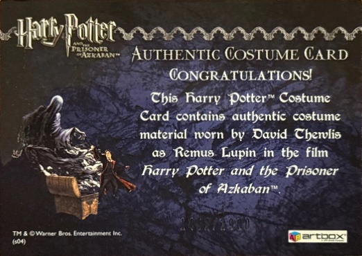 Remus Lupin's Jacket - Back