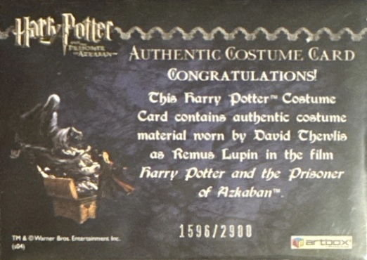 Remus Lupin's Jacket - Back