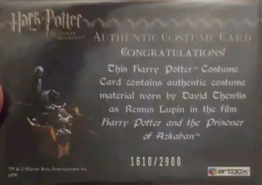 Remus Lupin's Jacket - Back