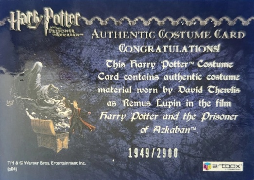 Remus Lupin's Jacket - Back