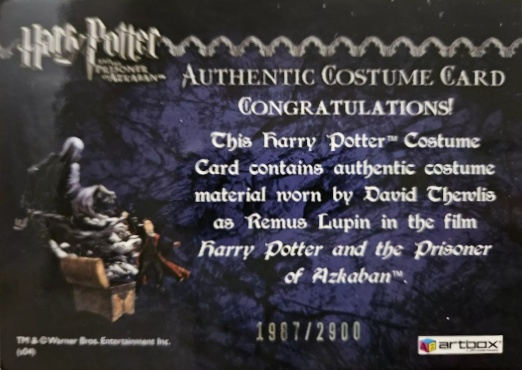 Remus Lupin's Jacket - Back