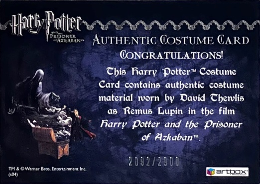 Remus Lupin's Jacket - Back