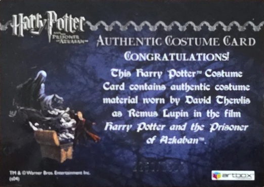 Remus Lupin's Jacket - Back