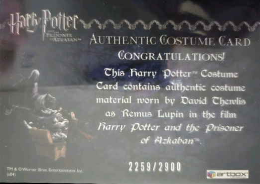 Remus Lupin's Jacket - Back