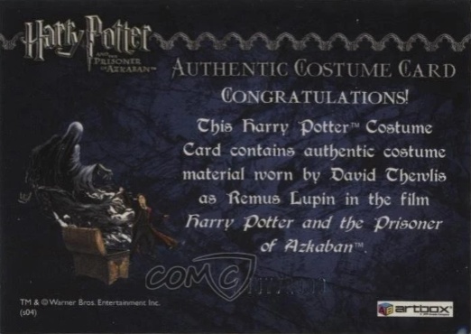 Remus Lupin's Jacket - Back