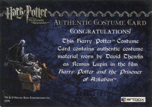 Remus Lupin's Jacket - Back