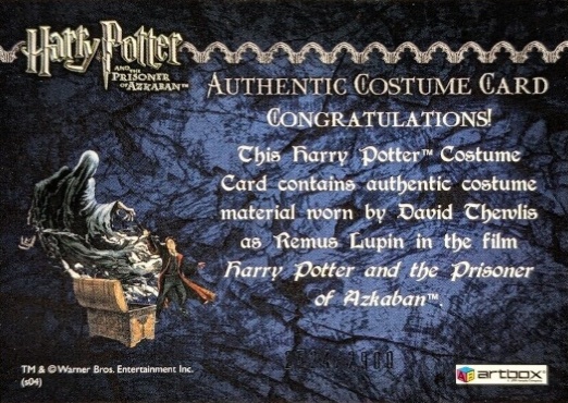 Remus Lupin's Jacket - Back