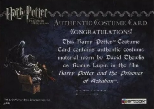 Remus Lupin's Jacket - Back