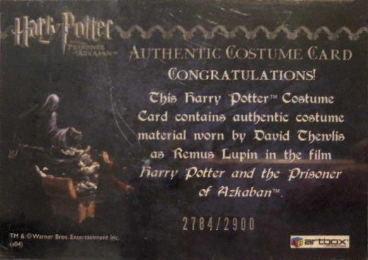 Remus Lupin's Jacket - Back