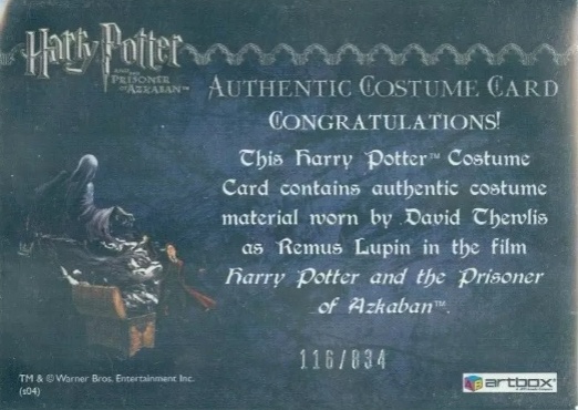 Remus Lupin's Shirt - Back