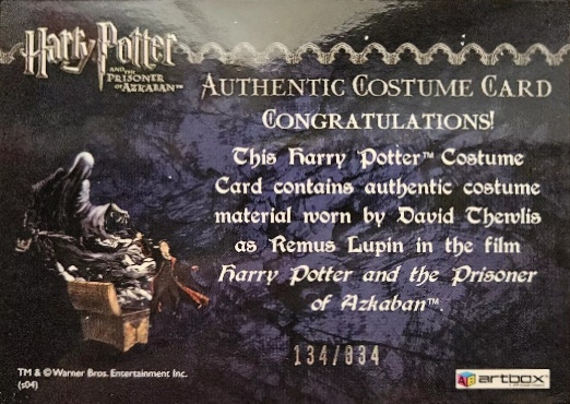 Remus Lupin's Shirt - Back