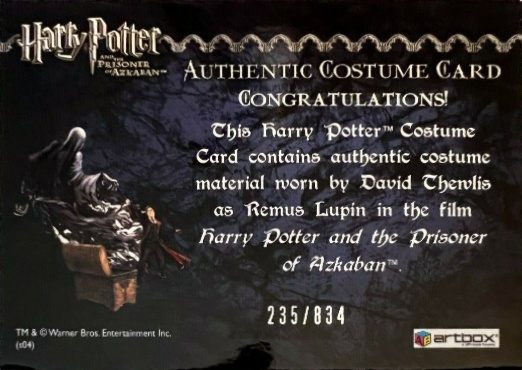 Remus Lupin's Shirt - Back