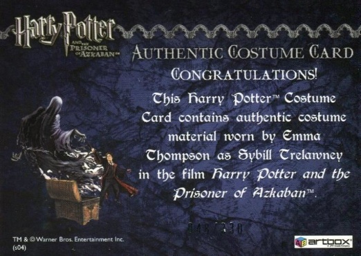 Sybil Trelawney's Grey Top and Dress - Back