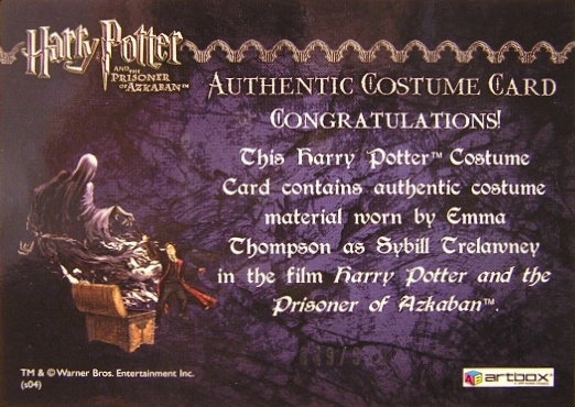 Sybil Trelawney's Grey Top and Dress - Back