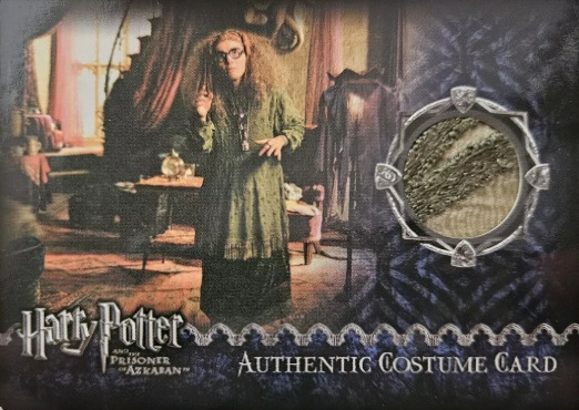 Sybil Trelawney's Grey Top and Dress - Front