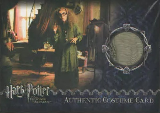 Sybil Trelawney's Grey Top and Dress - Front