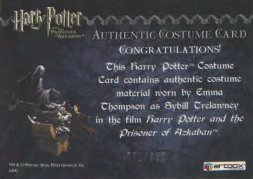 Sybil Trelawney's Grey Top and Dress - Back