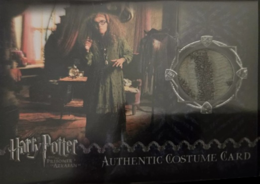 Sybil Trelawney's Grey Top and Dress - Front