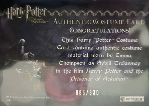 Sybil Trelawney's Grey Top and Dress - Back