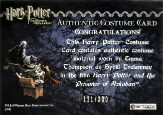 Sybil Trelawney's Grey Top and Dress - Back