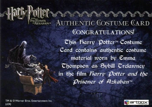 Sybil Trelawney's Grey Top and Dress - Back