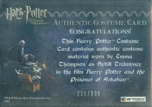 Sybil Trelawney's Grey Top and Dress - Back