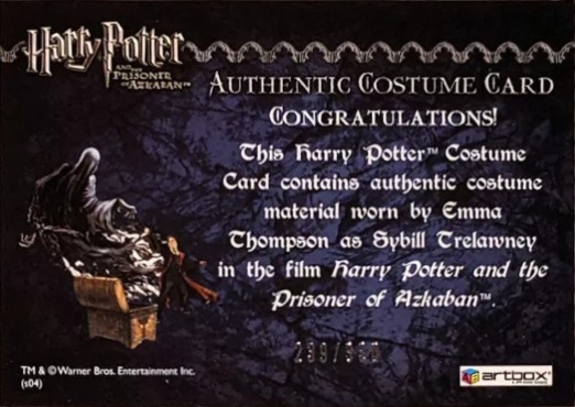 Sybil Trelawney's Grey Top and Dress - Back