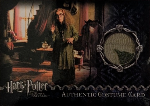 Sybil Trelawney's Grey Top and Dress - Front