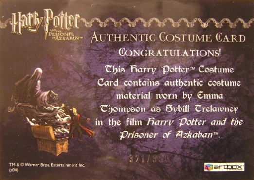 Sybil Trelawney's Grey Top and Dress - Back