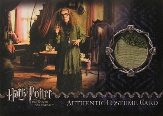 Sybil Trelawney's Grey Top and Dress - Front