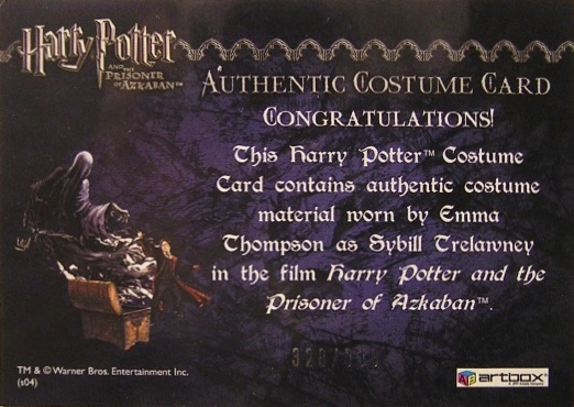 Sybil Trelawney's Grey Top and Dress - Back