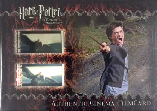 Harry Casts Patronus - Front