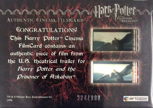 Harry Casts Patronus - Back