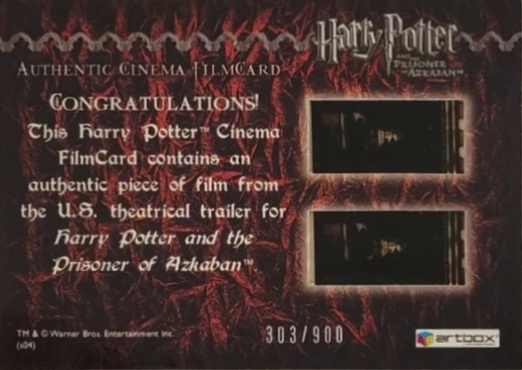 Harry Casts Patronus - Back