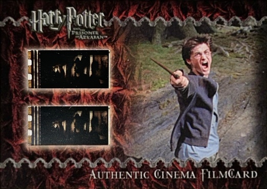 Harry Casts Patronus - Front