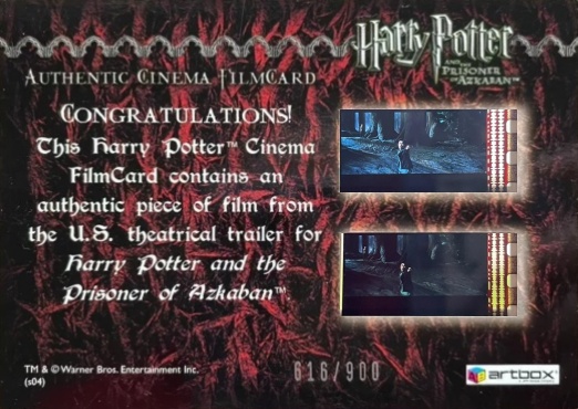 Harry Casts Patronus - Back