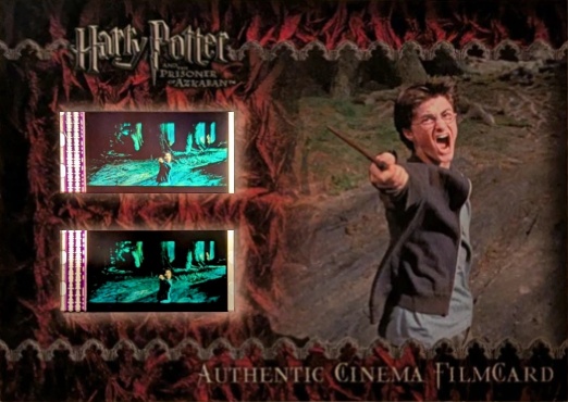 Harry Casts Patronus - Front