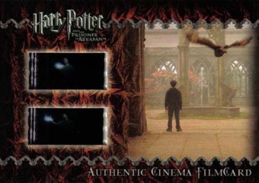 Harry and Owl in Courtyard