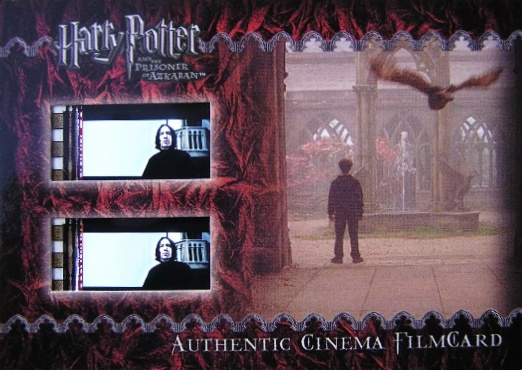 Harry and Owl in Courtyard - Front