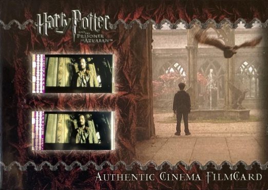 Harry and Owl in Courtyard - Front