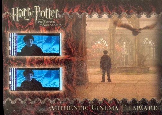 Harry and Owl in Courtyard - Front