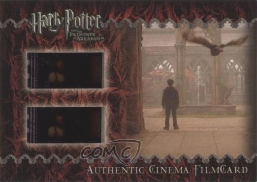 Harry and Owl in Courtyard - Front