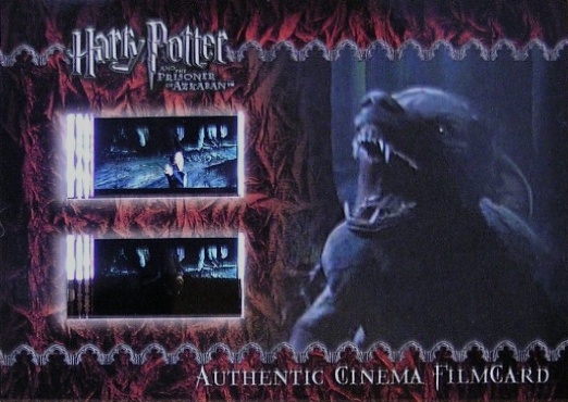 Lupin as Werewolf - Front