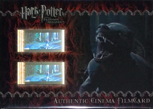 Lupin as Werewolf - Front