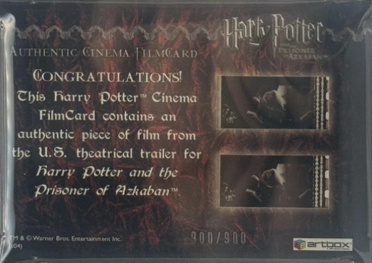 Mr Arthur Weasley and Harry - Back