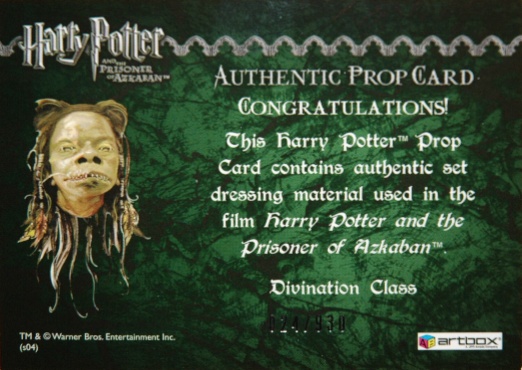 Divination Class Cloth - Back