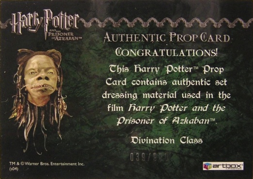 Divination Class Cloth - Back