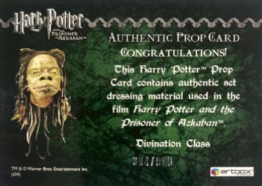 Divination Class Cloth - Back